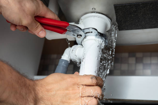 Best Professional water damage repair  in Evanston, IL