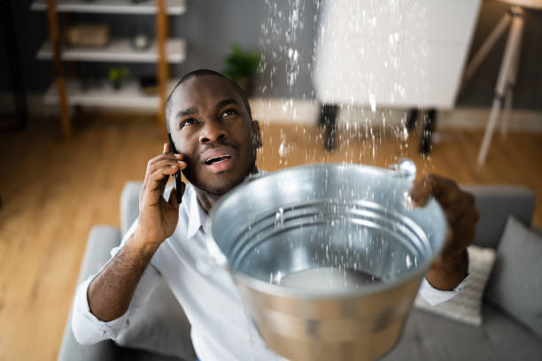 Best Water damage restoration near me  in Evanston, IL