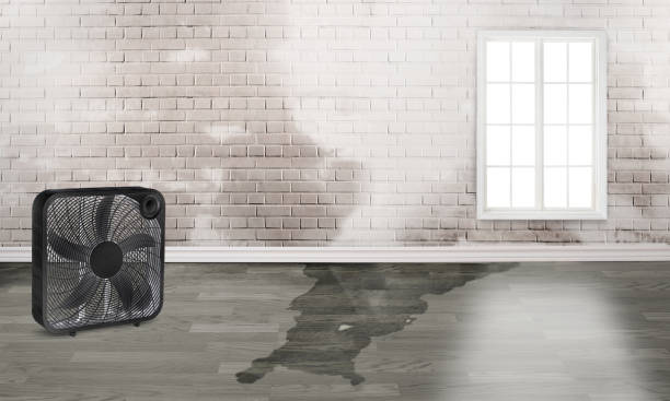 Best 24-hour water damage restoration  in Evanston, IL