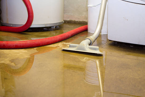 Best Flood restoration services  in Evanston, IL