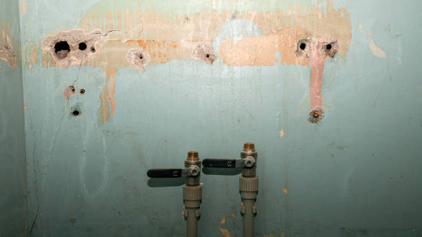 Best Fire Damage Restoration  in Evanston, IL