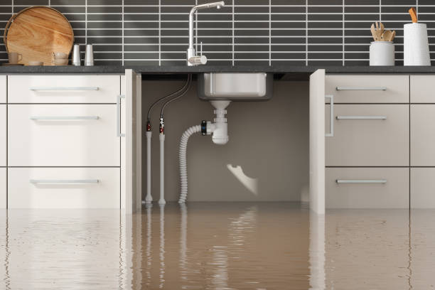 Best Residential water damage restoration  in Evanston, IL