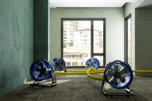 Best Carpet water damage restoration  in Evanston, IL