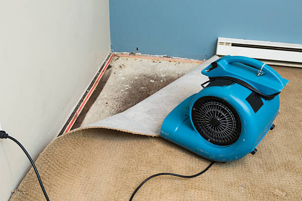 Best Flood restoration services  in Evanston, IL